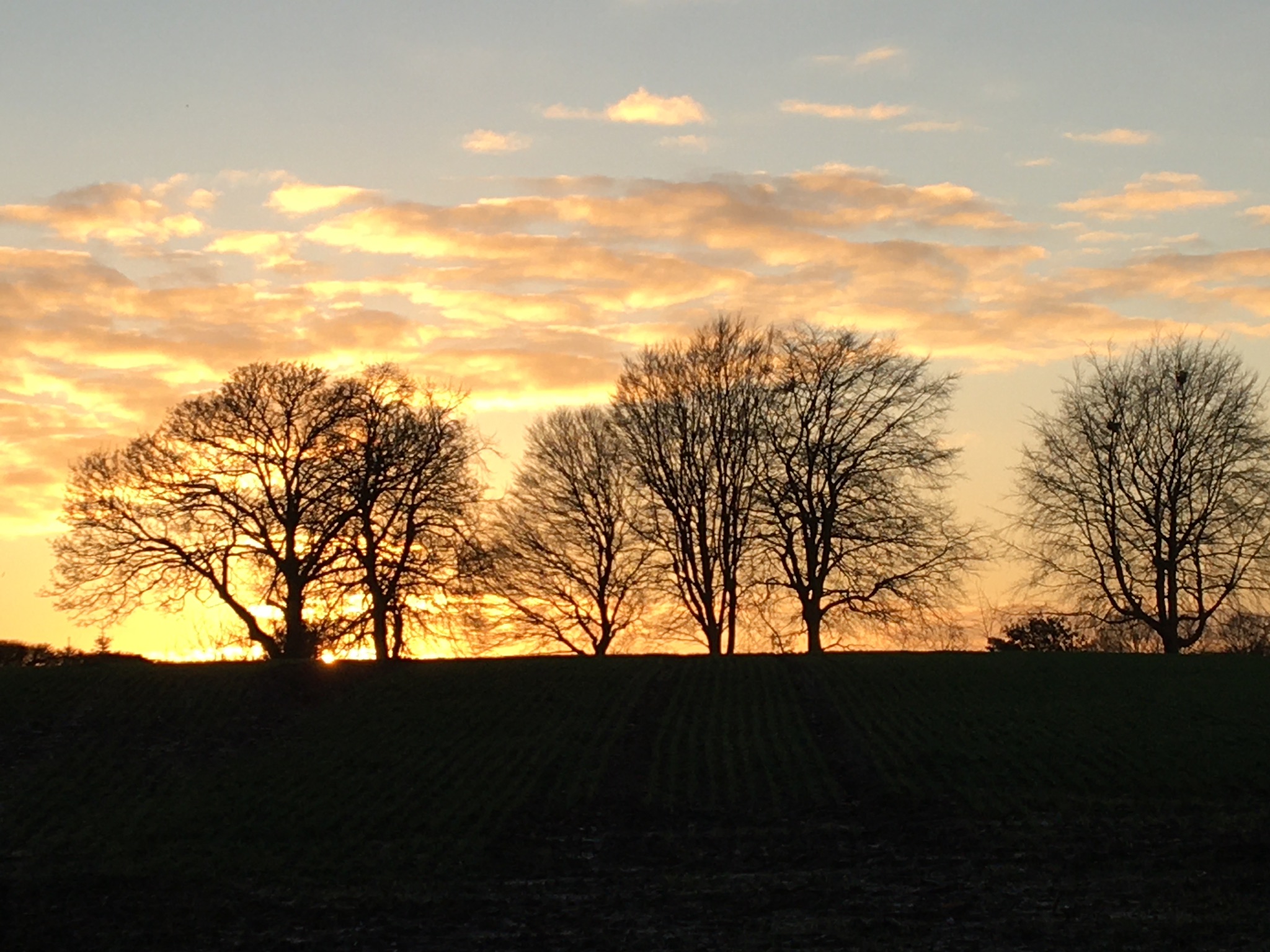 Sunset from the South Cheshire Way, photo by Kim J. January 6th